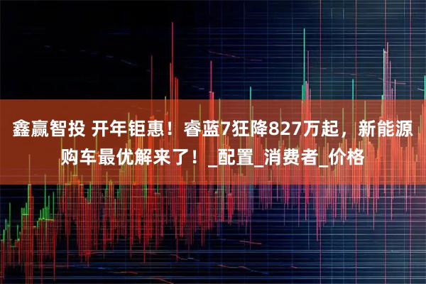 鑫赢智投 开年钜惠!睿蓝7狂降827万起,新能源购车最优解来了!_配置_消费者_价格