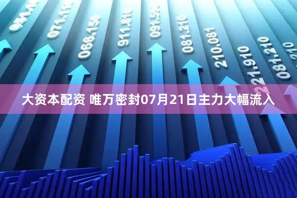 大资本配资 唯万密封07月21日主力大幅流入