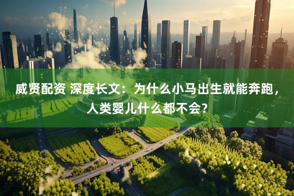 威贤配资 深度长文:为什么小马出生就能奔跑,人类婴儿什么都不会?