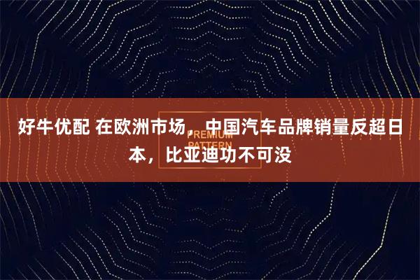 好牛优配 在欧洲市场，中国汽车品牌销量反超日本，比亚迪功不可没