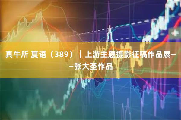 真牛所 夏语（389）｜上游主题摄影征稿作品展——张大圣作品